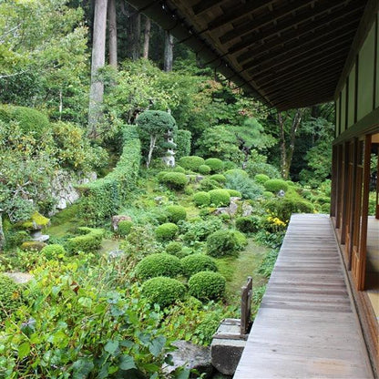 2024 MAY Kyoto Trip DEPOSIT - Kyoto Kimono