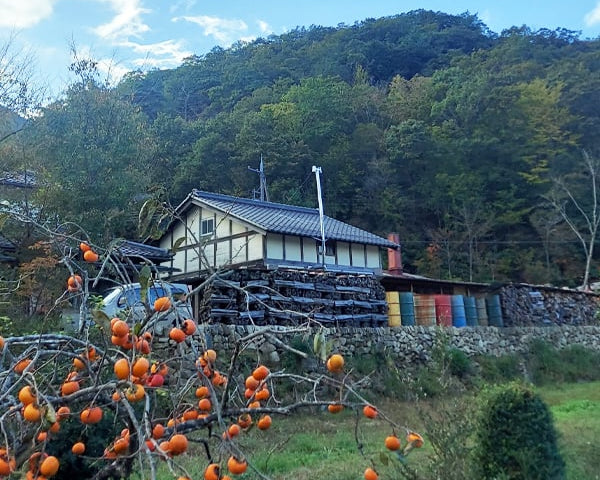 2026 OCTOBER Tamba-Sasayama Tour DEPOSIT