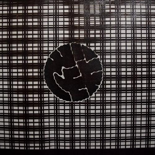 "Playful Plaid" Katagami Stencil - Kyoto Kimono