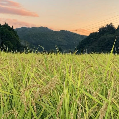 2026 OCTOBER Tamba-Sasayama Tour DEPOSIT