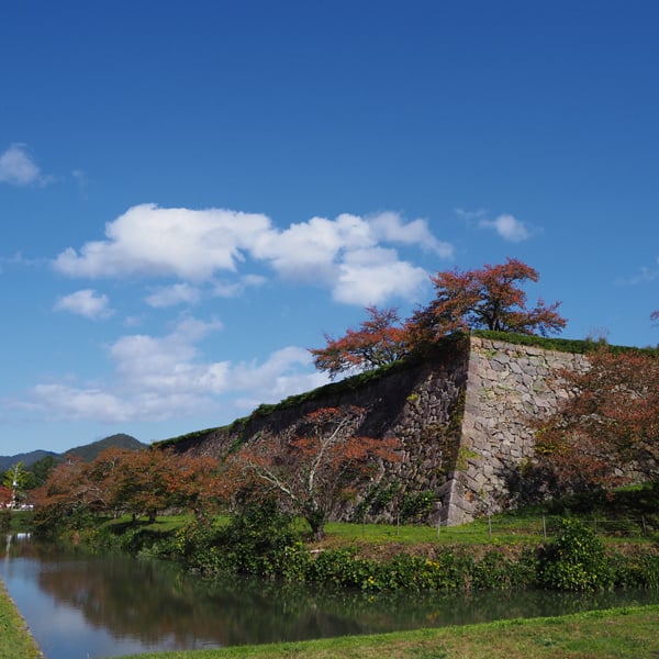 2026 OCTOBER Tamba-Sasayama Tour DEPOSIT