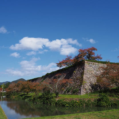 2026 OCTOBER Tamba-Sasayama Tour DEPOSIT
