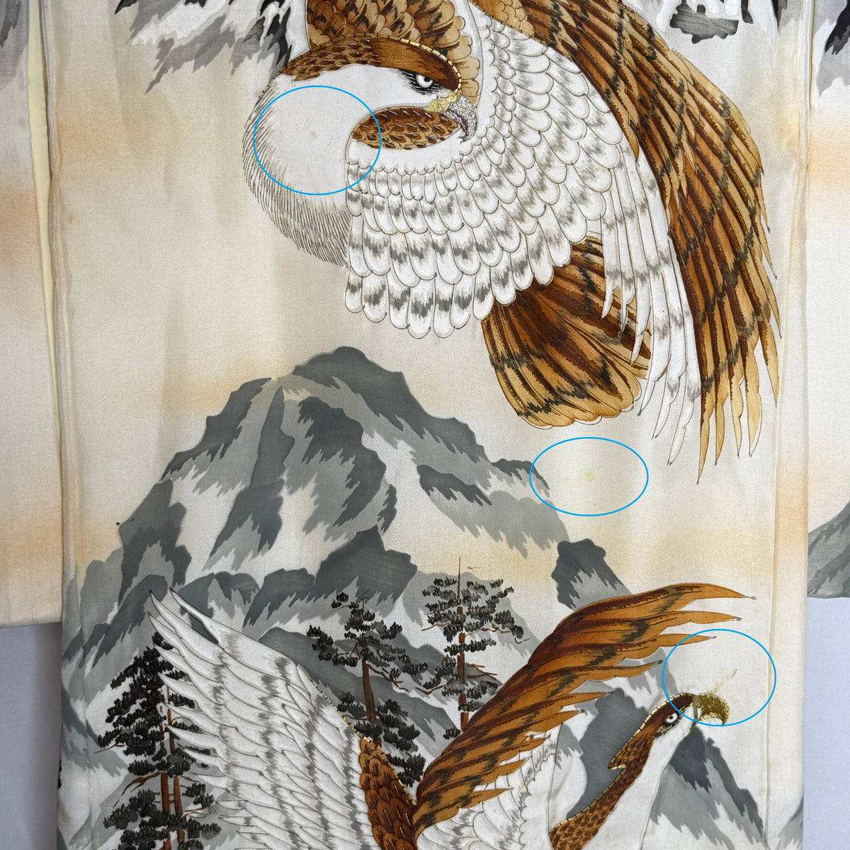 "Soaring Spirits" Vintage Boy's Miyamairi