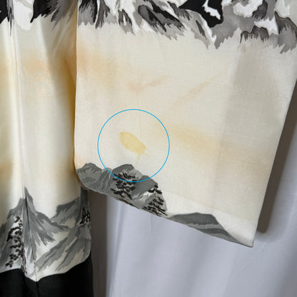 "Soaring Spirits" Vintage Boy's Miyamairi