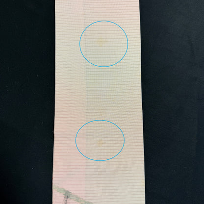 "Painter's Garden" Han Obi