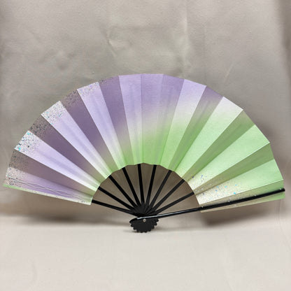 "Northern Lights" Vintage Dance Fan