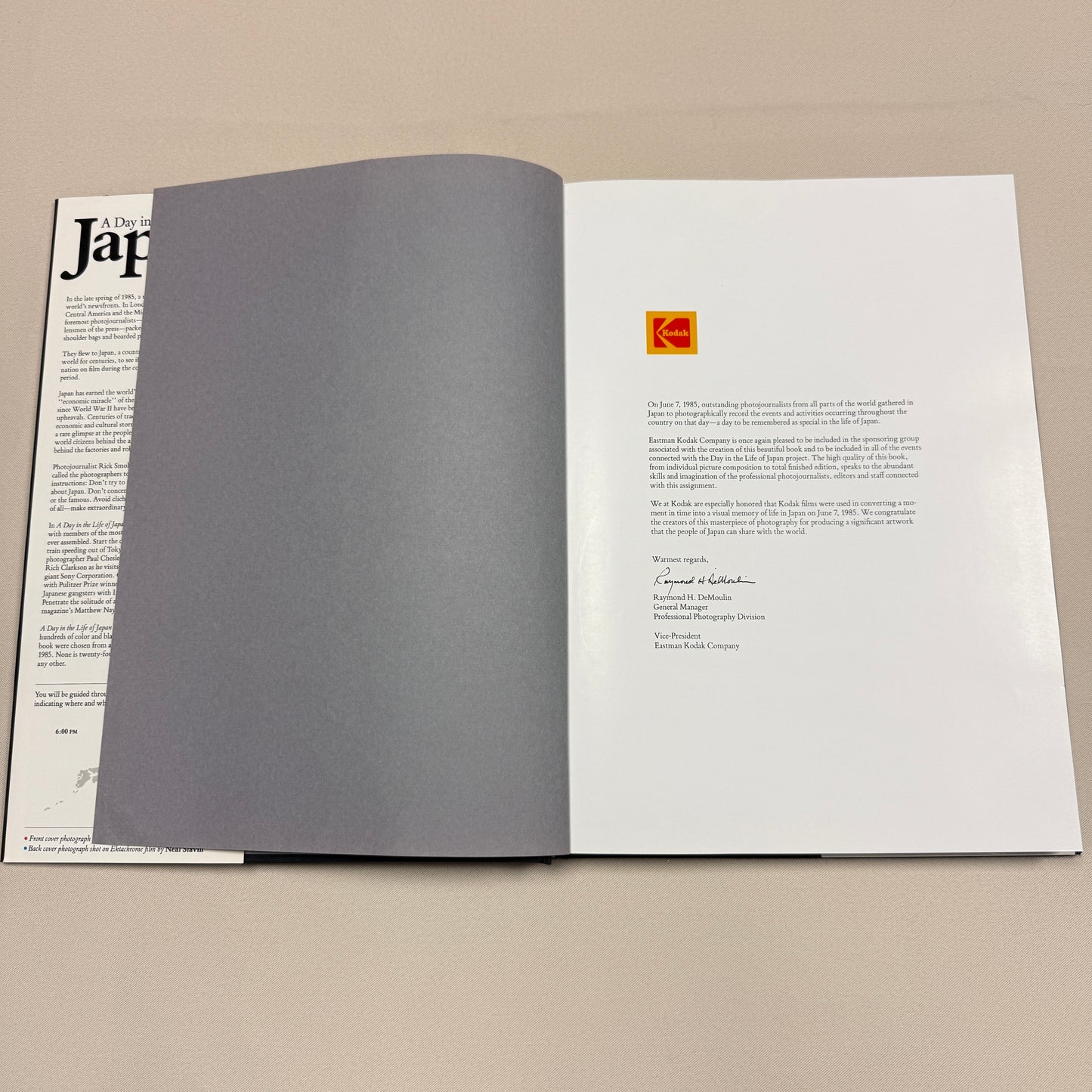 "A Day in the Life of Japan" Vintage Book