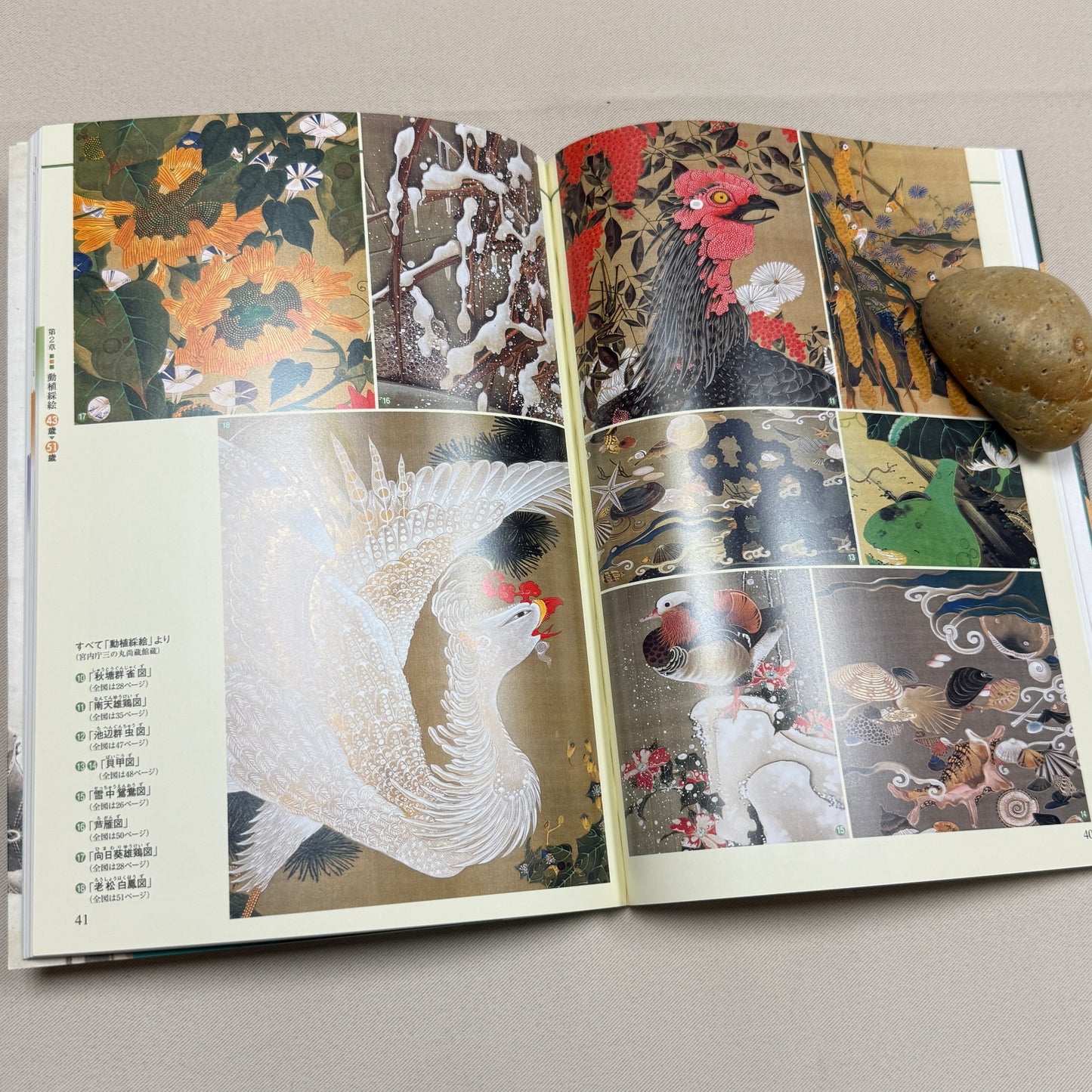 "Ito Jakuchu: Life and Works" Art Reference Book