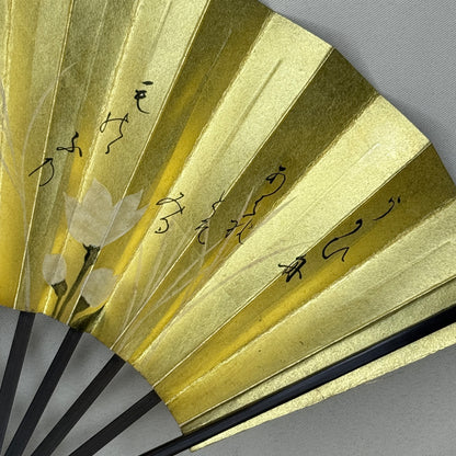 "Sky and Blossom" Vintage Dance Folding Fan
